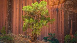 Desktop wallpaper. Nature. ID:132296
