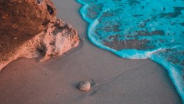 Desktop wallpaper. Nature. ID:132297