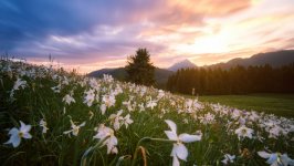 Desktop wallpaper. Nature. ID:132536