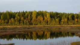 Desktop wallpaper. Nature. ID:132780