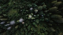 Desktop wallpaper. Nature. ID:132781