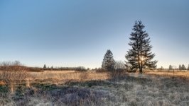 Desktop wallpaper. Nature. ID:132915