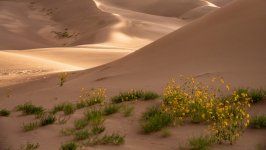 Desktop wallpaper. Nature. ID:133269