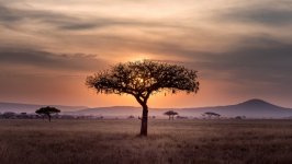 Desktop wallpaper. Nature. ID:133408