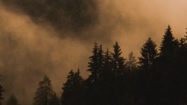 Desktop wallpaper. Nature. ID:133509