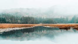 Desktop wallpaper. Nature. ID:133514