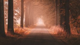 Desktop image. Nature. ID:133877