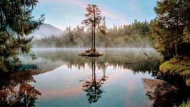 Desktop image. Nature. ID:133879
