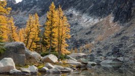 Desktop image. Nature. ID:133960