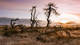 Desktop image. Nature. ID:134011