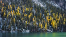 Desktop image. Nature. ID:134051