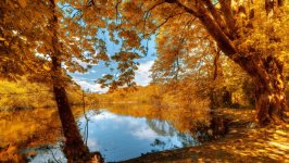Desktop wallpaper. Nature. ID:134113