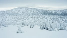 Desktop wallpaper. Nature. ID:134257