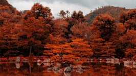 Desktop wallpaper. Nature. ID:134468