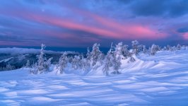 Desktop wallpaper. Nature. ID:134765