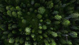 Desktop wallpaper. Nature. ID:135142