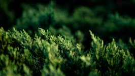 Desktop wallpaper. Nature. ID:135804
