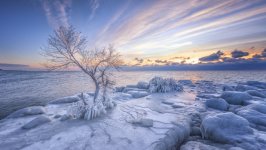 Desktop wallpaper. Nature. ID:135990