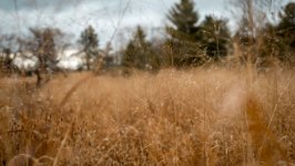 Desktop wallpaper. Nature. ID:135998