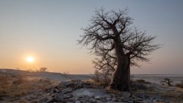 Desktop wallpaper. Nature. ID:136340