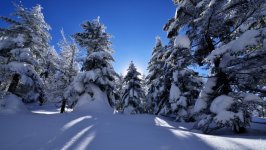 Desktop wallpaper. Nature. ID:136509