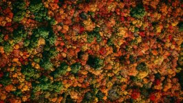 Desktop wallpaper. Nature. ID:136535