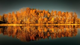 Desktop wallpaper. Nature. ID:136627