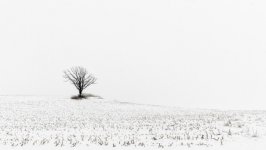 Desktop wallpaper. Nature. ID:136641