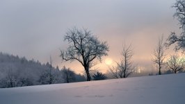 Desktop wallpaper. Nature. ID:137208