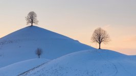 Desktop wallpaper. Nature. ID:137624