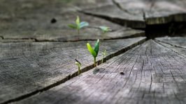 Desktop wallpaper. Nature. ID:137670