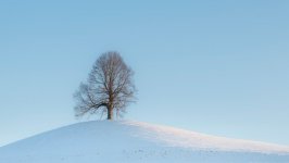 Desktop wallpaper. Nature. ID:137711