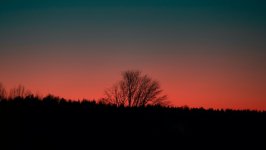 Desktop wallpaper. Nature. ID:137912
