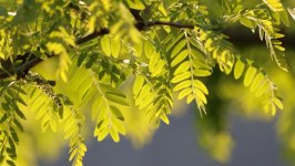 Desktop wallpaper. Nature. ID:137923