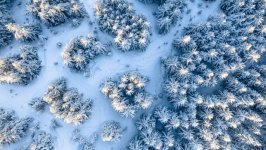 Desktop wallpaper. Nature. ID:138037