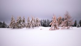 Desktop wallpaper. Nature. ID:138173