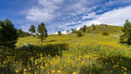 Desktop wallpaper. Nature. ID:138387