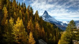 Desktop wallpaper. Nature. ID:138752