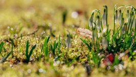 Desktop wallpaper. Nature. ID:139234