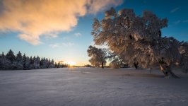 Desktop wallpaper. Nature. ID:139236
