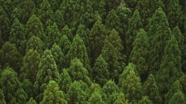 Desktop wallpaper. Nature. ID:139920