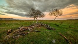 Desktop wallpaper. Nature. ID:139953