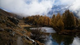 Desktop wallpaper. Nature. ID:139967