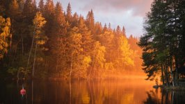 Desktop wallpaper. Nature. ID:140338