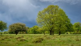 Desktop wallpaper. Nature. ID:140394
