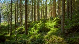 Desktop wallpaper. Nature. ID:140488