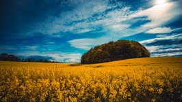 Desktop wallpaper. Nature. ID:140502