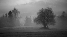 Desktop wallpaper. Nature. ID:140517