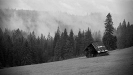 Desktop wallpaper. Nature. ID:140668