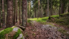 Desktop wallpaper. Nature. ID:141089